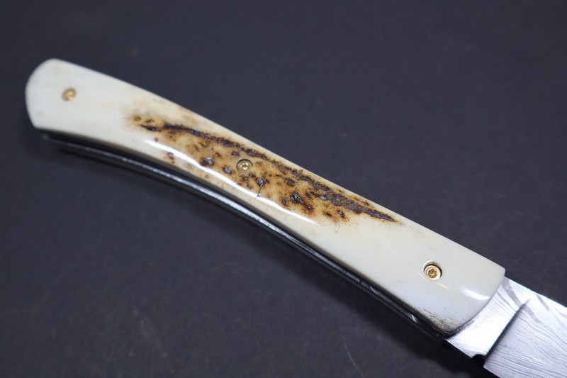 couteau Le Tarn lame damas plume G.A. bois de cerf 12