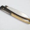 Couteau Le Tarn Ebène Royal et mitres en carbone Gold fiber visserrie or 12