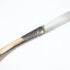 Couteau Le Tarn Ebène Royal et mitres en carbone Gold fiber visserrie or 8