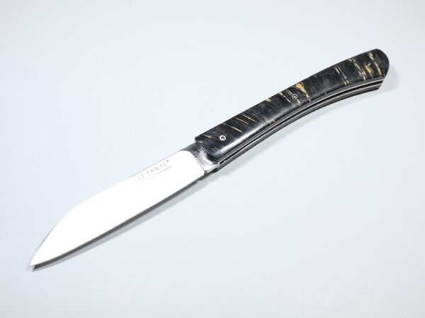Le-Tarn-erable-stabilise-IMG_0363.jpg