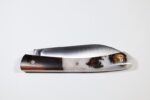 Le-Tarn-loupe-de-cade-Inclusion-Resine-coulee-IMG_0423.jpg