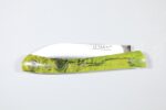 Le-Tarn-loupe-de-peuplier-echauffe-stabilise-teinte-IMG_0431.jpg