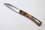 Le-Tarn-loupe-de-peuplier-stabilisee-bicolor-IMG_0401.jpg